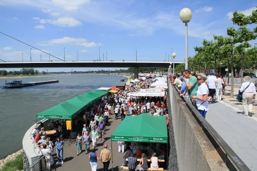 Fischmarkt in Düsseldorf, stop 2 on the self-guided walking tour