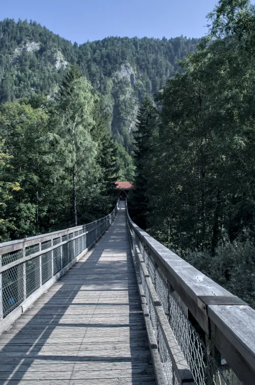 Baumkronenpfad Ziegelwies in Füssen, stop 5 on the self-guided walking tour