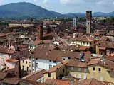 Blick auf Lucca