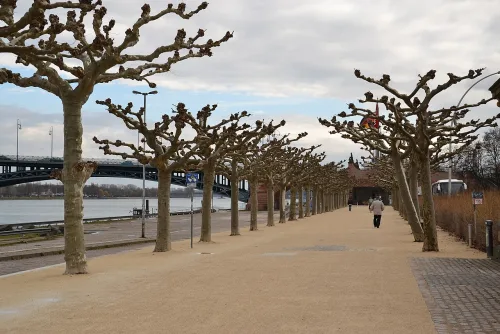 Rheinpromenade in Mainz, Station 3 auf dem selbstgeführten Stadtrundgang