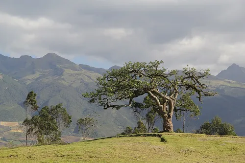 El Lechero in Otavalo, Station 4 auf dem selbstgeführten Stadtrundgang