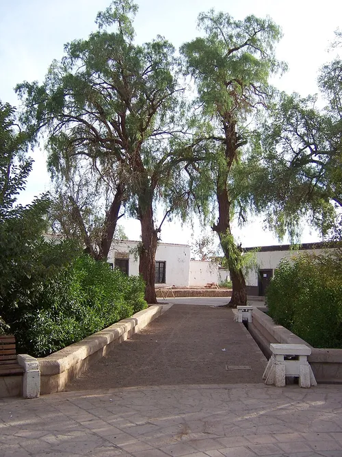 Plaza de Armas de San Pedro de Atacama, stop 1 on the self-guided walking tour