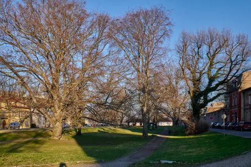 Park an der Burg in Mühlhausen, Station 7 auf dem selbstgeführten Stadtrundgang