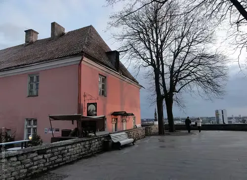 Kohtuotsa Viewing Platform in Tallinn, stop 4 on the self-guided walking tour