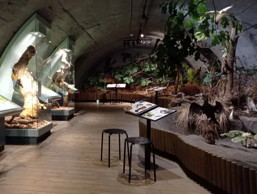 House of Nature of the Třeboňsko Region, stop 5 on the self-guided walking tour