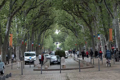 Cours Mirabeau in Aix-en-Provence, stop 1 on the self-guided walking tour