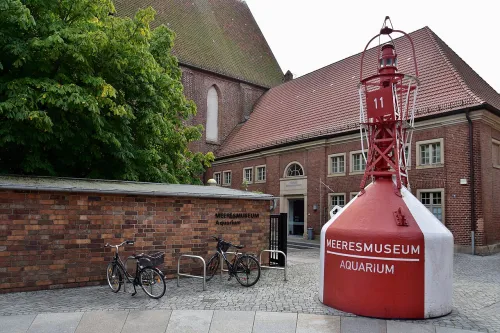 Deutsches Meeresmuseum in Stralsund, Station 8 auf dem selbstgeführten Stadtrundgang
