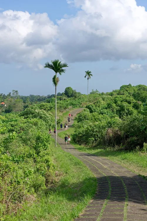 Campuhan Ridge Walk in Ubud, Station 7 auf dem selbstgeführten Stadtrundgang