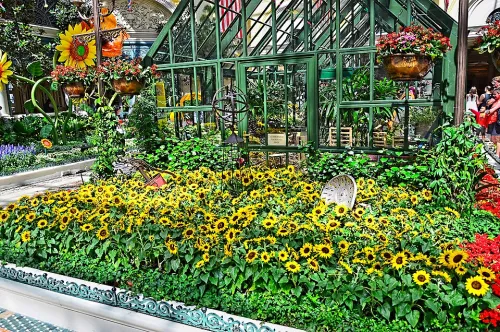 Bellagio Conservatory & Botanical Gardens in Las Vegas, stop 3 on the self-guided walking tour