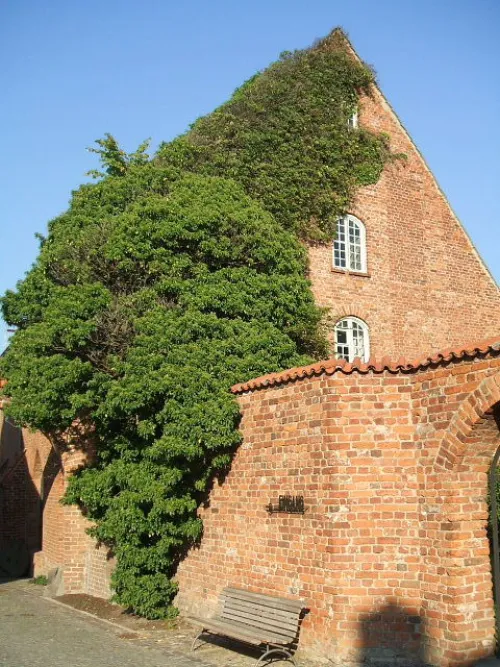 Franziskanerkloster Stralsund, genannt Johanniskloster, Station 3 auf dem selbstgeführten Stadtrundgang