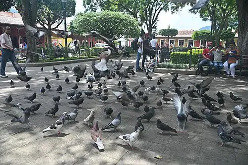 Parque Central in Antigua Guatemala, Station 4 auf dem selbstgeführten Stadtrundgang