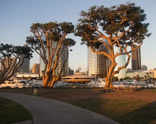 Embarcadero Marina Park North in San Diego, Station 1 auf dem selbstgeführten Stadtrundgang