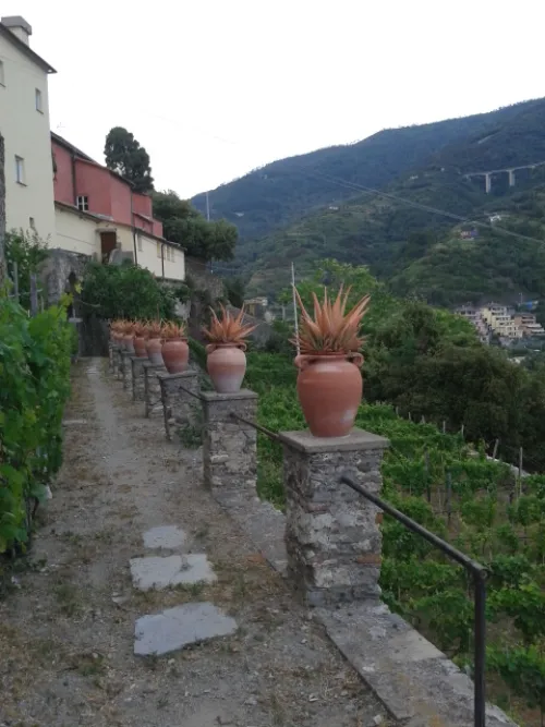 Convento dei Frati Cappuccini in Monterosso al Mare, Station 4 auf dem selbstgeführten Stadtrundgang