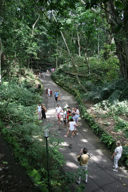 Affenwald von Ubud, Station 1 auf dem selbstgeführten Stadtrundgang