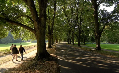 Lichtentaler Allee in Baden-Baden, Station 6 auf dem selbstgeführten Stadtrundgang
