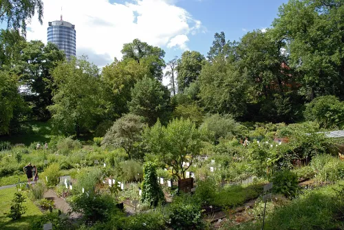 Botanical Garden in Jena, stop 9 on the self-guided walking tour