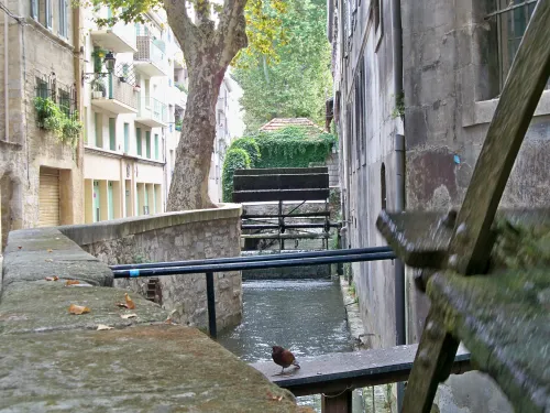 Rue des Teinturiers in Avignon, Station 7 auf dem selbstgeführten Stadtrundgang
