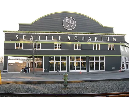 Seattle Aquarium, Station 3 auf dem selbstgeführten Stadtrundgang