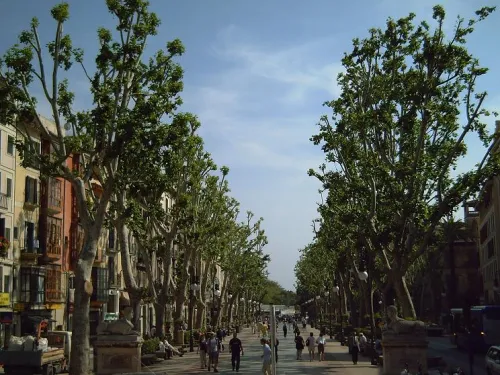 Passeig des Born in Palma, stop 7 on the self-guided walking tour