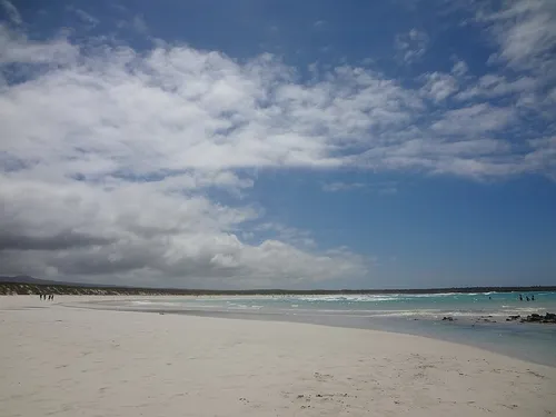 Bahía Tortuga in Puerto Ayora, Station 4 auf dem selbstgeführten Stadtrundgang