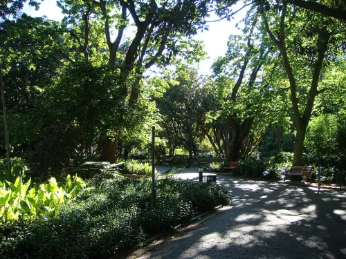 Company's Garden in Cape Town, stop 5 on the self-guided walking tour