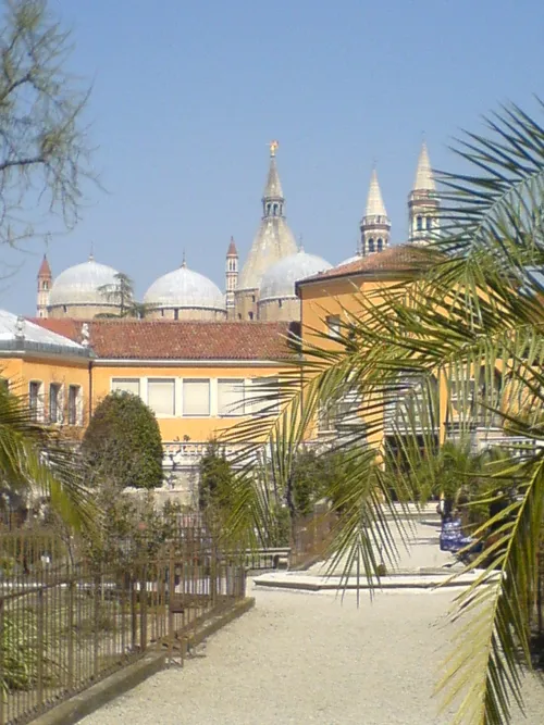 Botanischer Garten Padua, Station 4 auf dem selbstgeführten Stadtrundgang