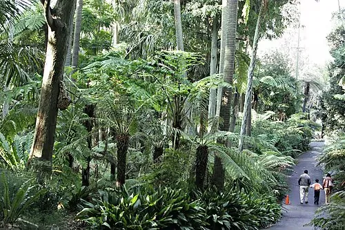 Royal Botanic Gardens Melbourne, Station 9 auf dem selbstgeführten Stadtrundgang