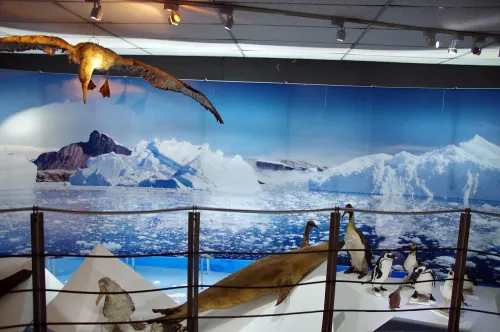 Museo Salesiano Maggiorino Borgatello in Punta Arenas, Station 6 auf dem selbstgeführten Stadtrundgang