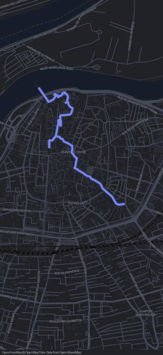Route der Tour durch Avignon