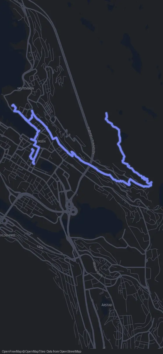 Route map for the Bergen walking tour