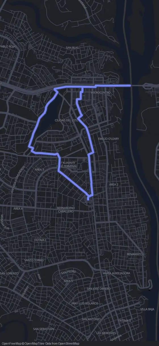 Route map for the Ciudad del Este walking tour