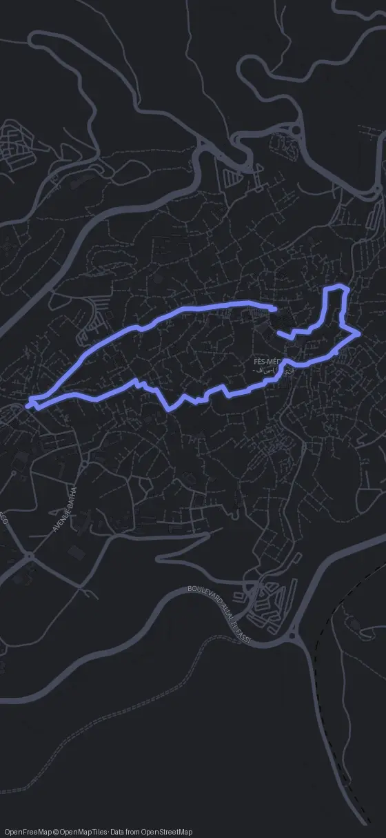 Route map for the Fez walking tour