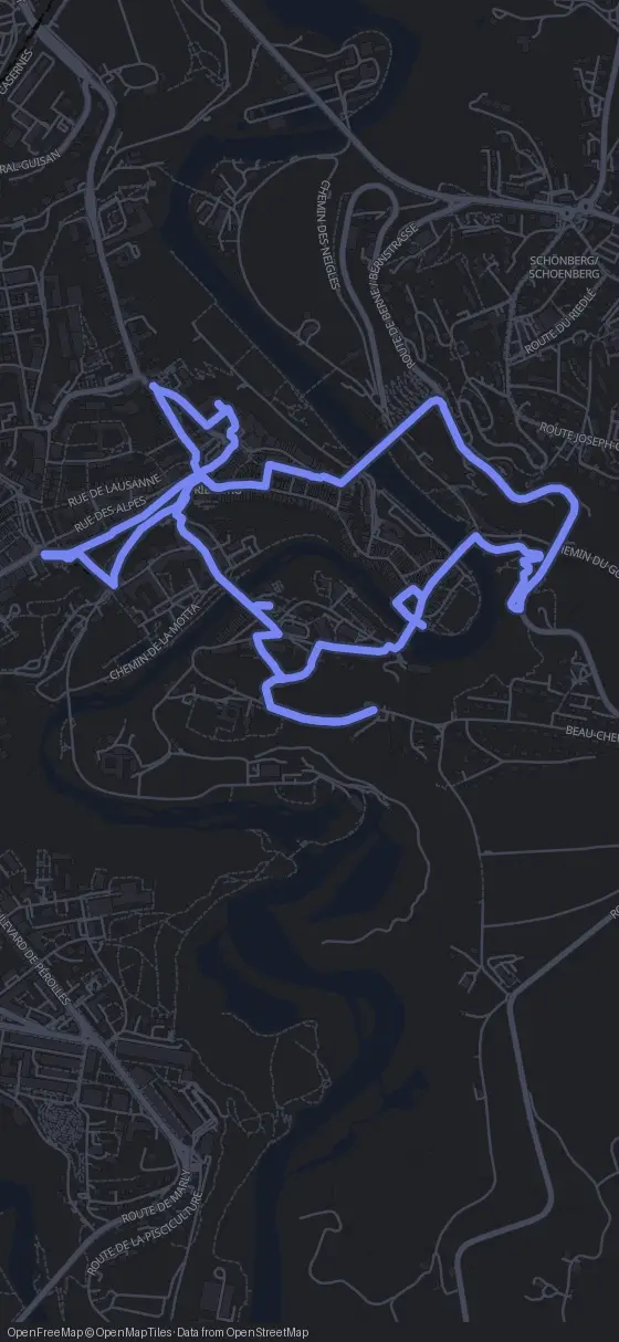 Route der Tour durch Freiburg im Üechtland