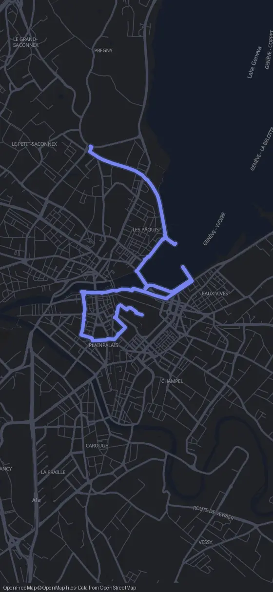 Route map for the Geneva walking tour