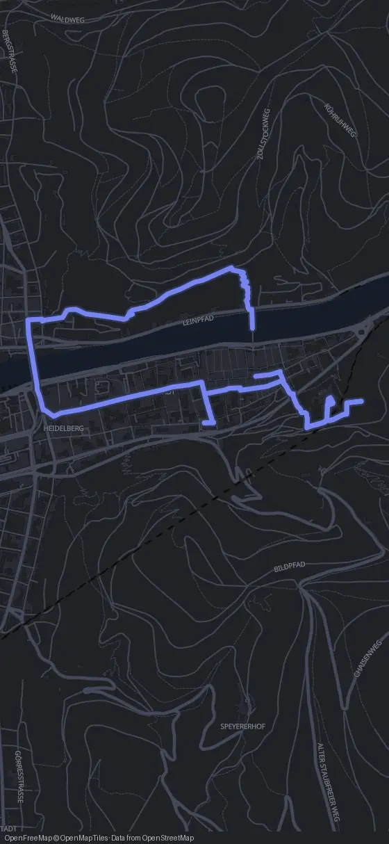 Route der Tour durch Heidelberg