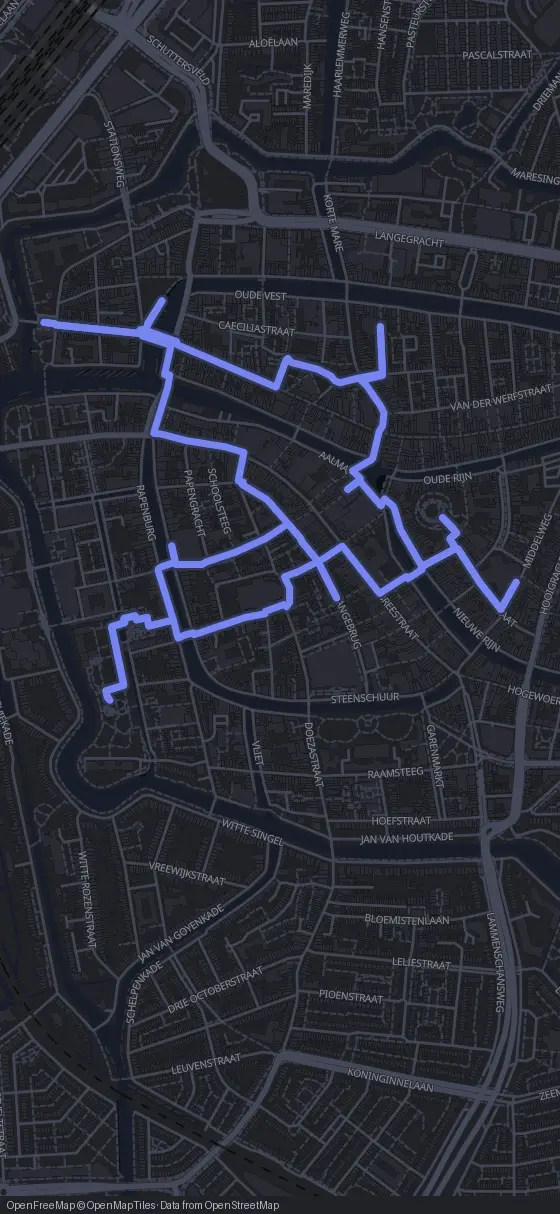 Route map for the Leiden walking tour