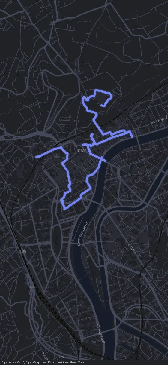 Route map for the Liège walking tour