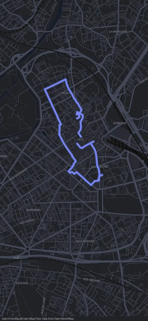 Route map for the Lille walking tour