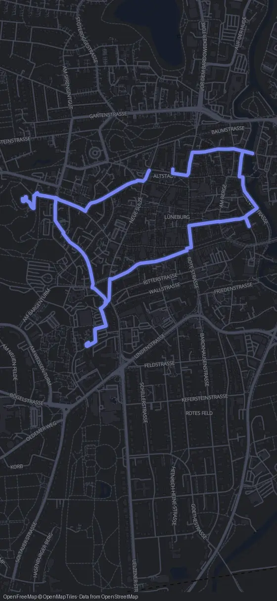Route der Tour durch Lüneburg