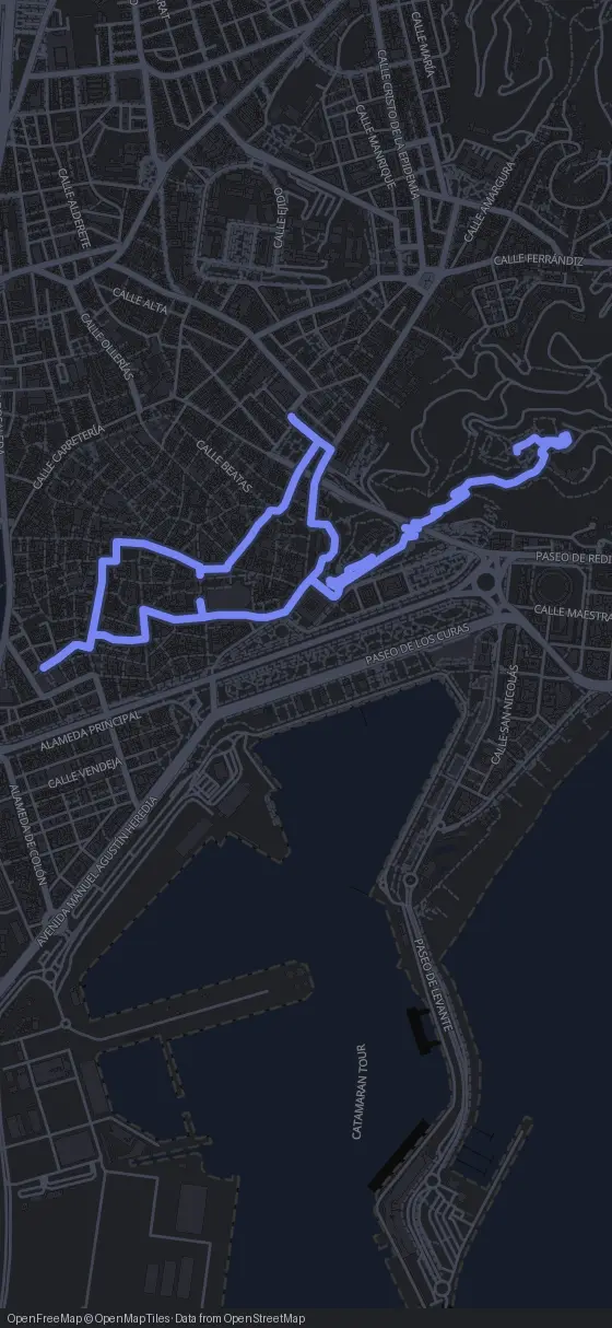 Route map for the Malaga walking tour