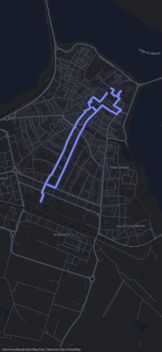 Route der Tour durch Mantua