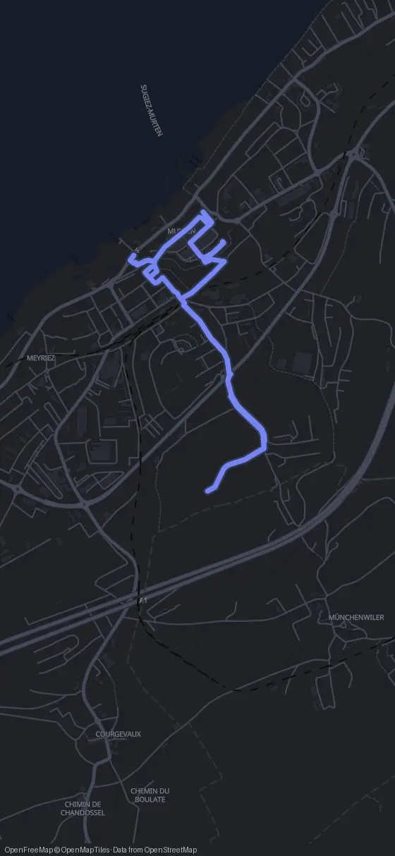 Route der Tour durch Murten