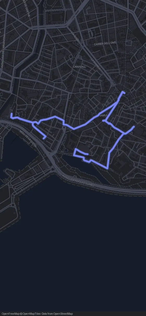 Route map for the Palma walking tour