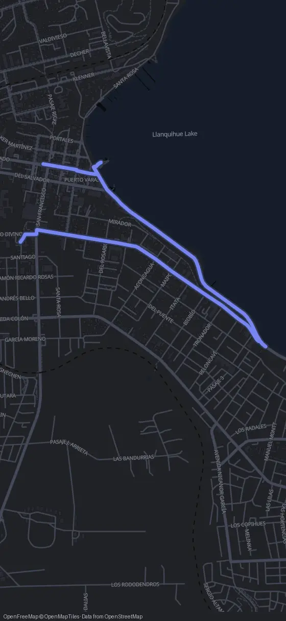 Route der Tour durch Puerto Varas