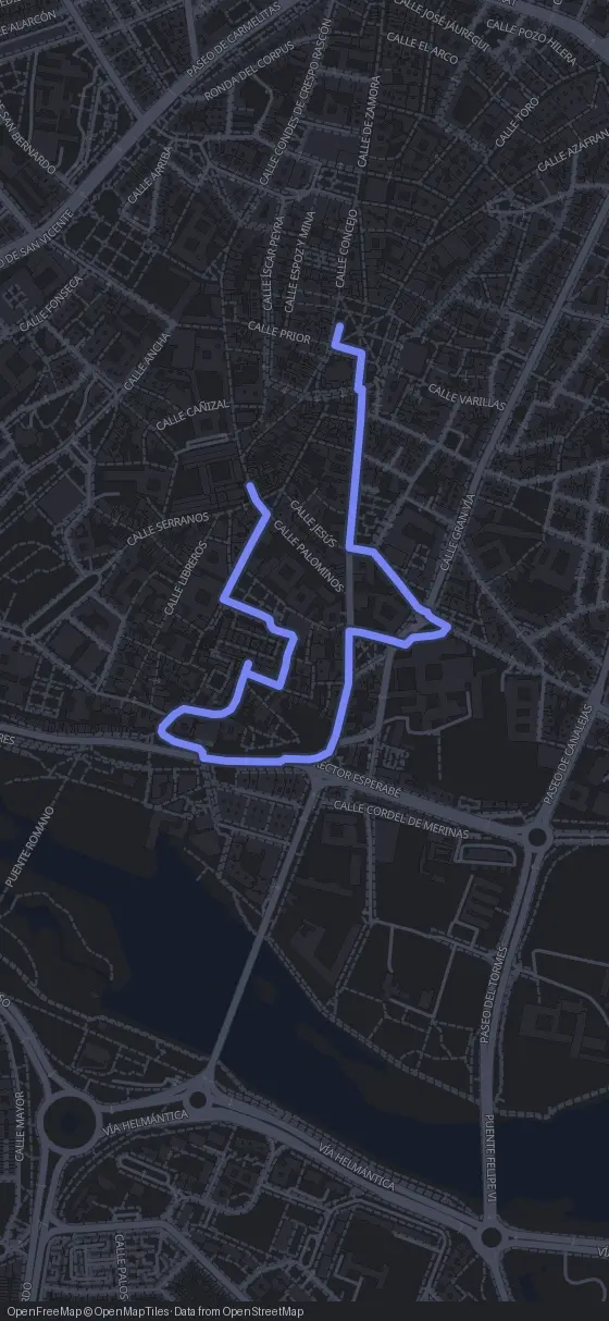 Route map for the Salamanca walking tour