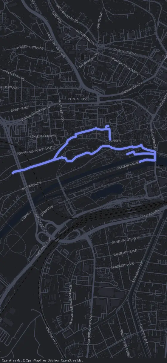 Route der Tour durch Tübingen